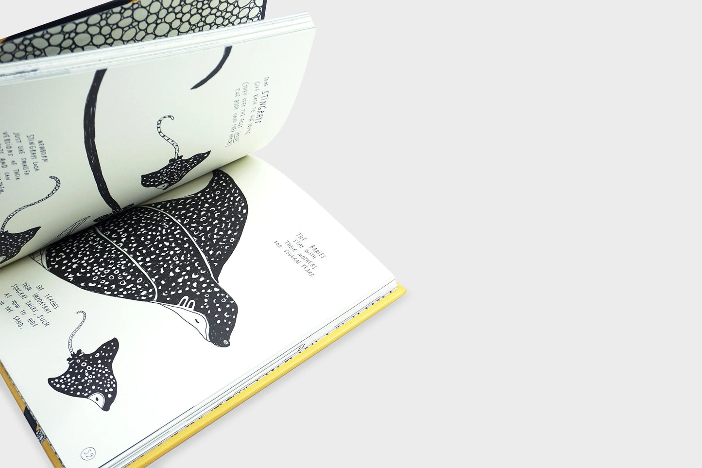 Amazing Facts About Baby Animals