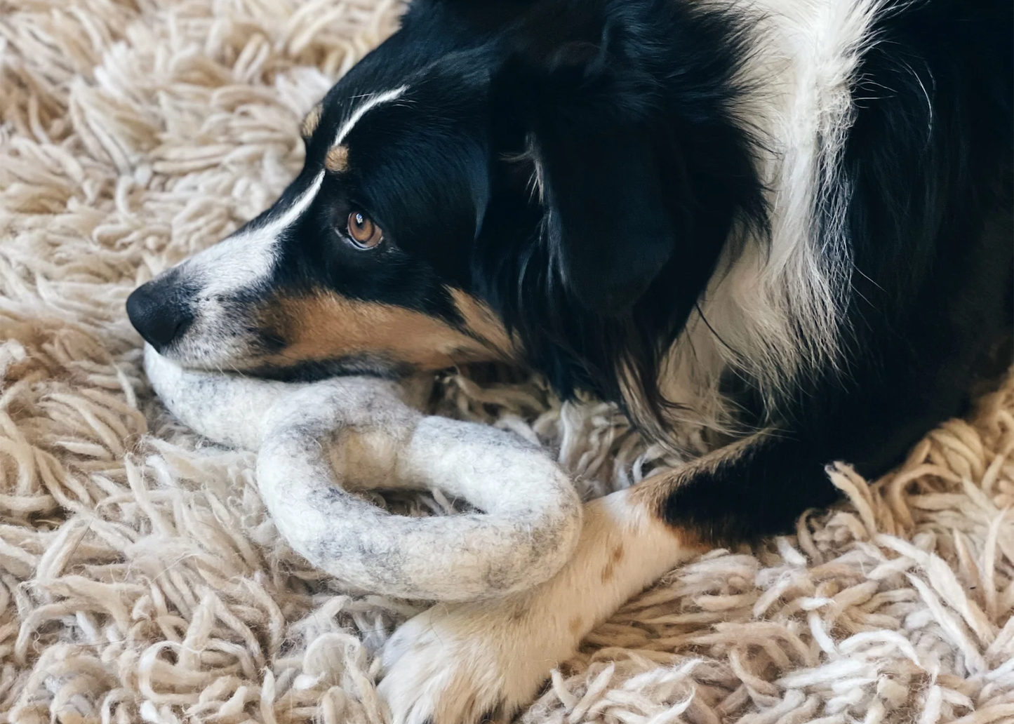 Zero Waste Dog Toy Set