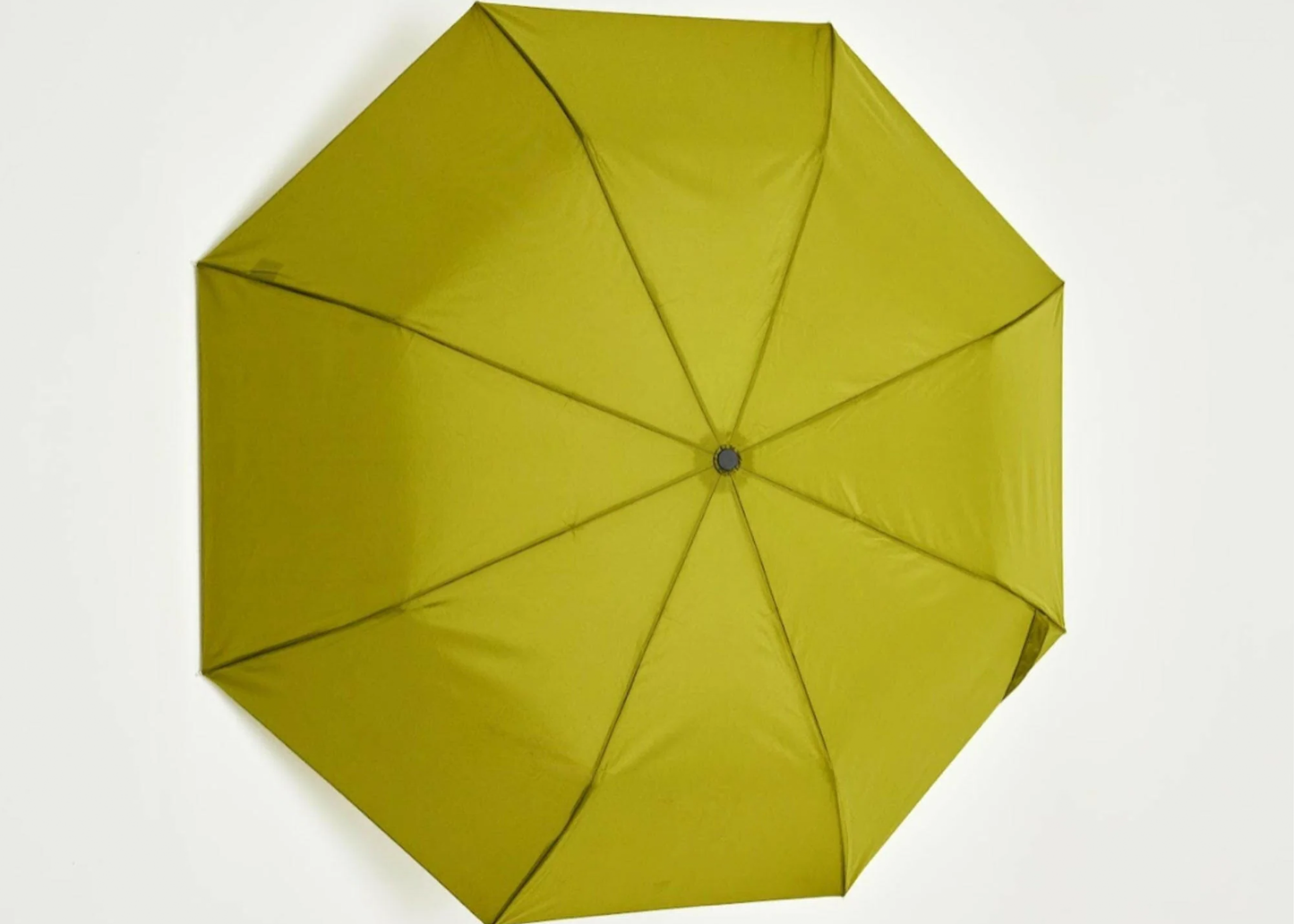 Duck Umbrella