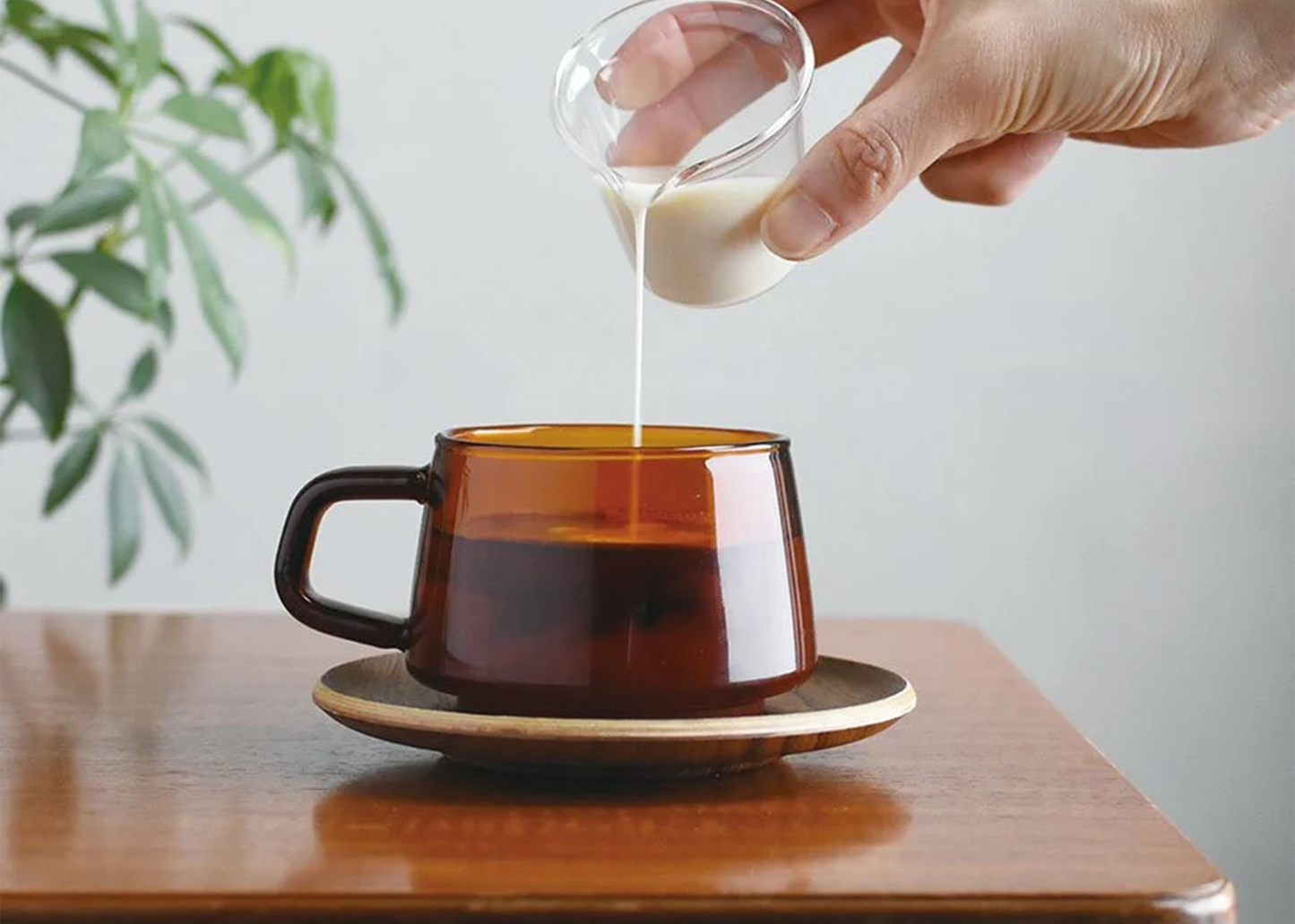 Sepia Mug and Saucer