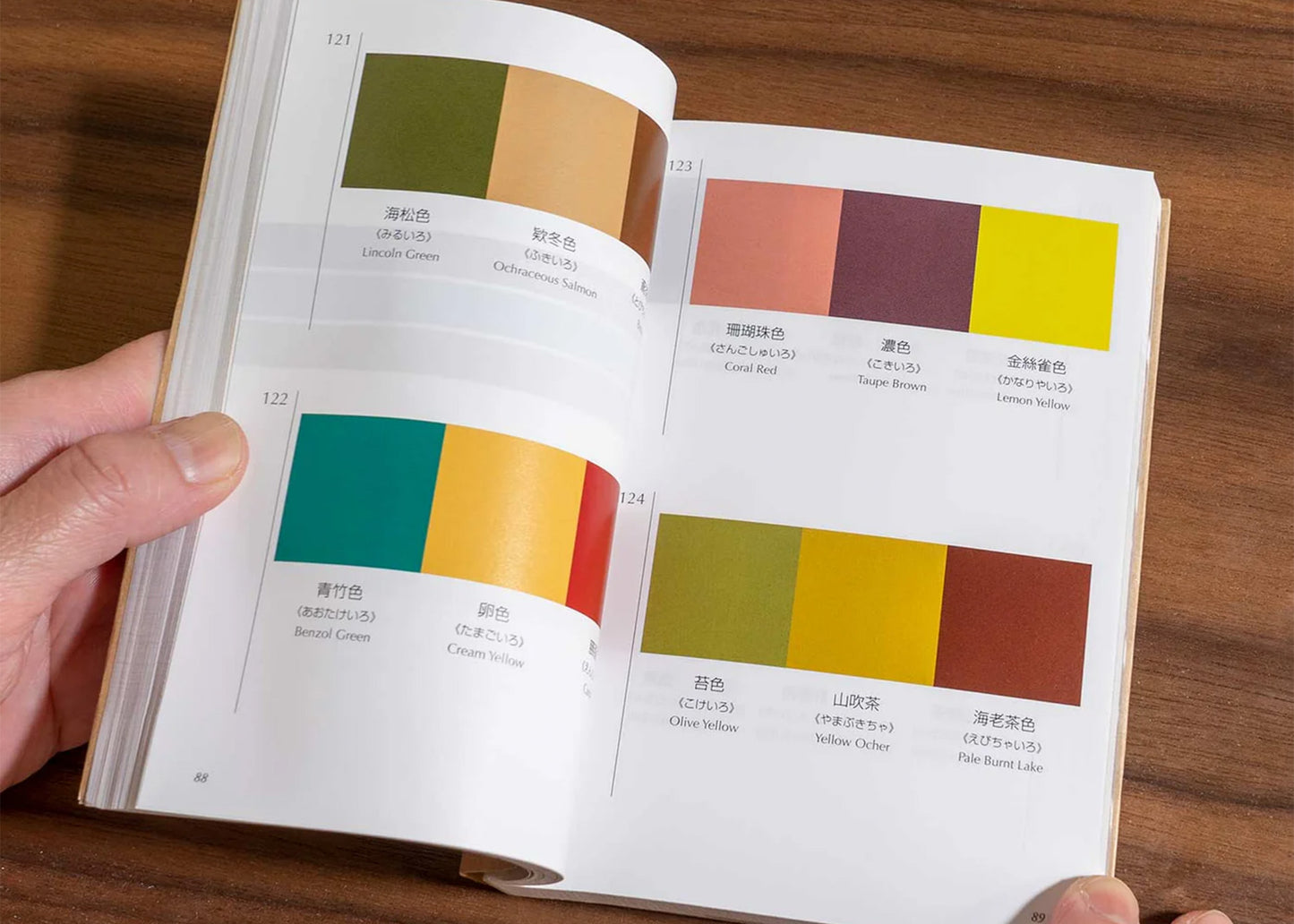 A Dictionary of Color Combinations