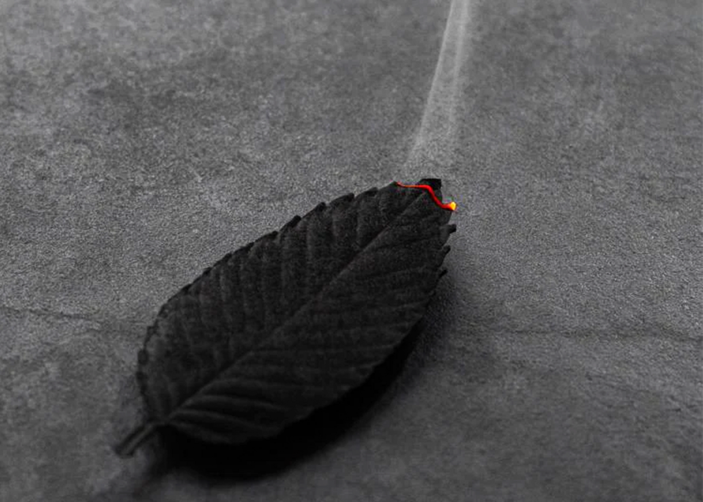 Leaf Paper Incense - Focus