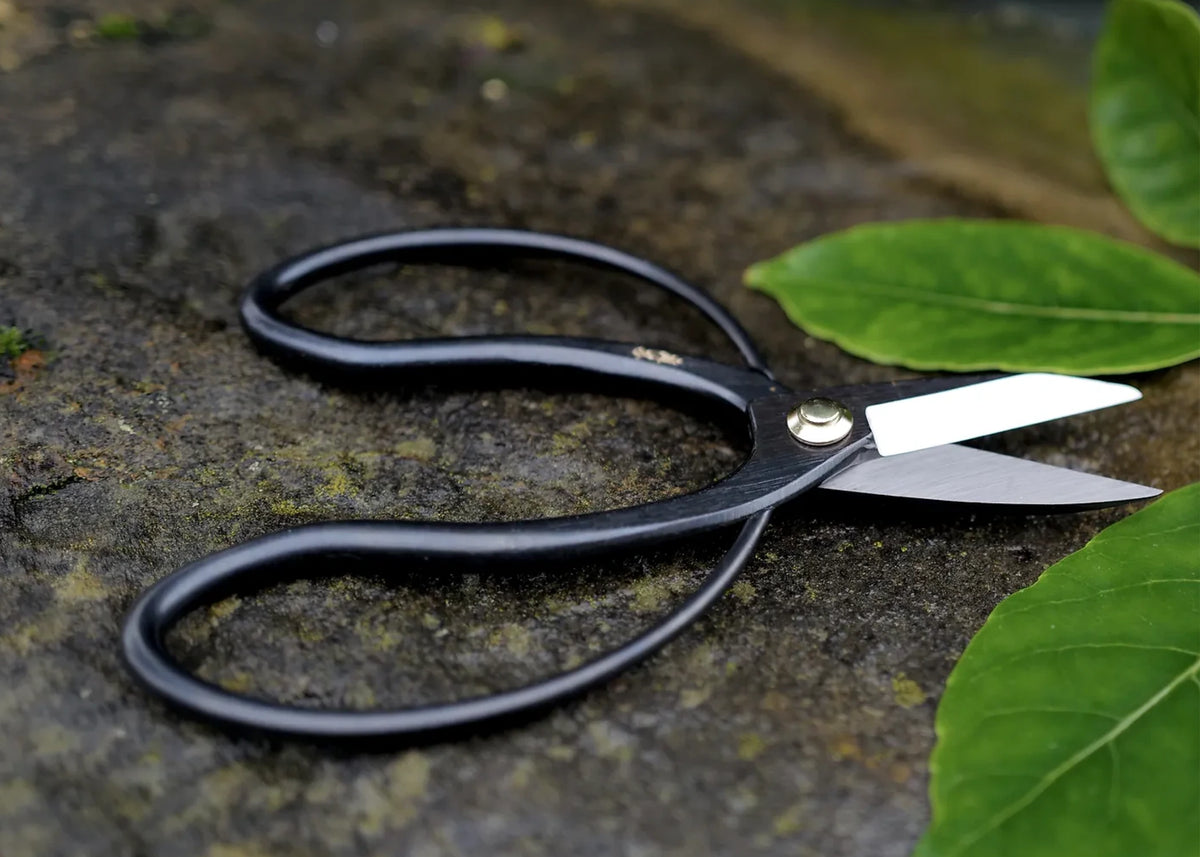 Higurashi Scissors