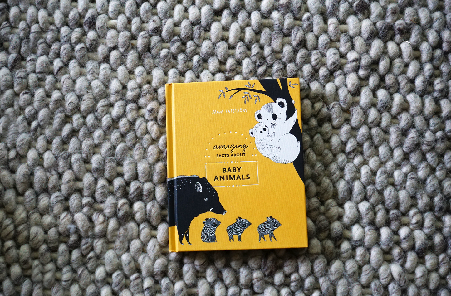 Amazing Facts About Baby Animals