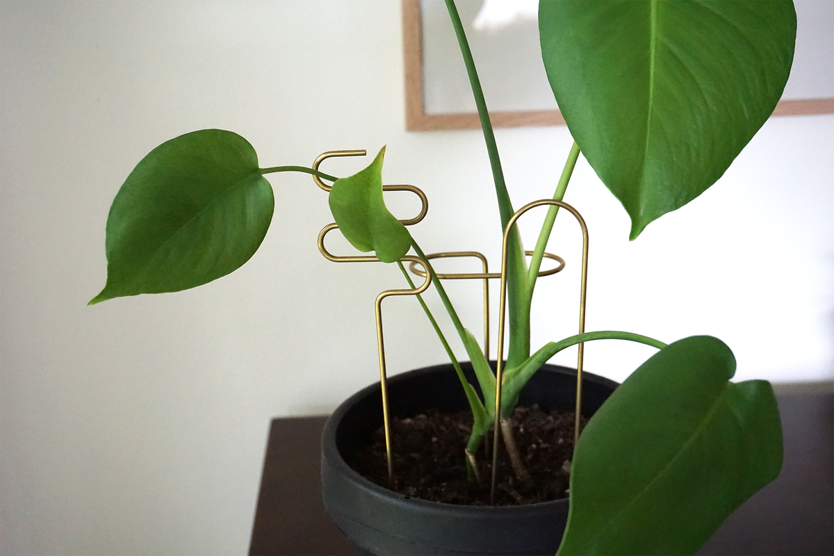 Brass Plant Sticks  Woodland Mod