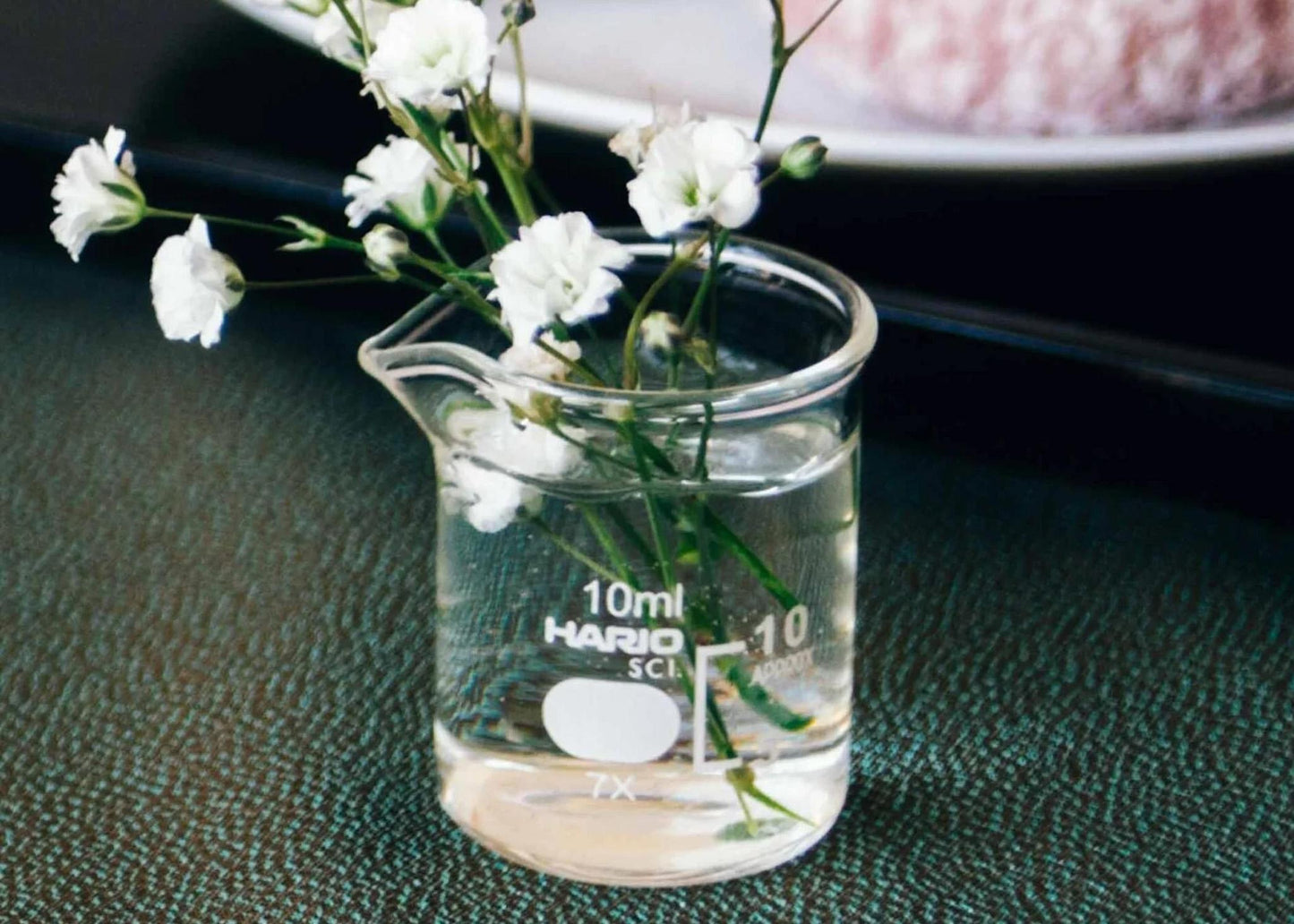 
                  
                    Beaker Flower Vase
                  
                