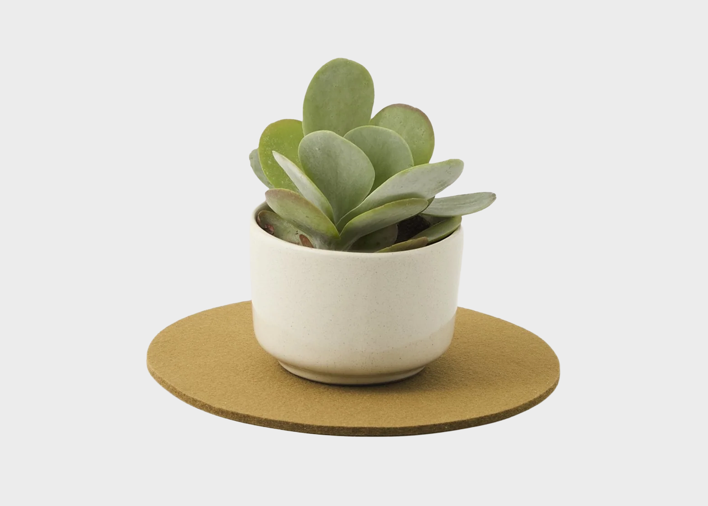 
                  
                    Felt Round Trivet 10"
                  
                