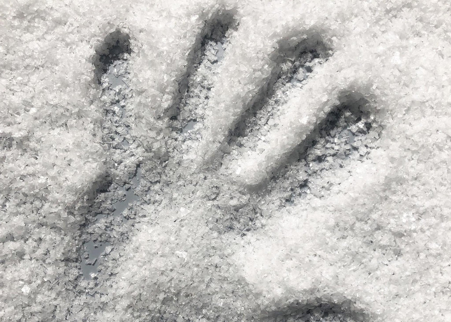 
                  
                    Norwegian Sea Salt Flakes
                  
                