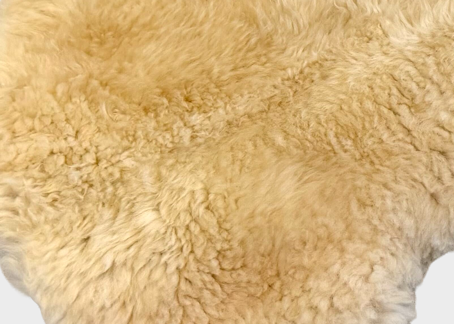 
                  
                    Scottish White Sheepskin
                  
                