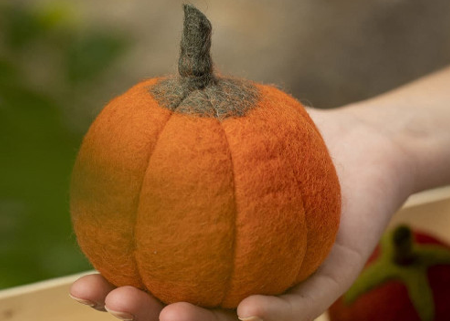 
                  
                    Wool Felt Fruit
                  
                