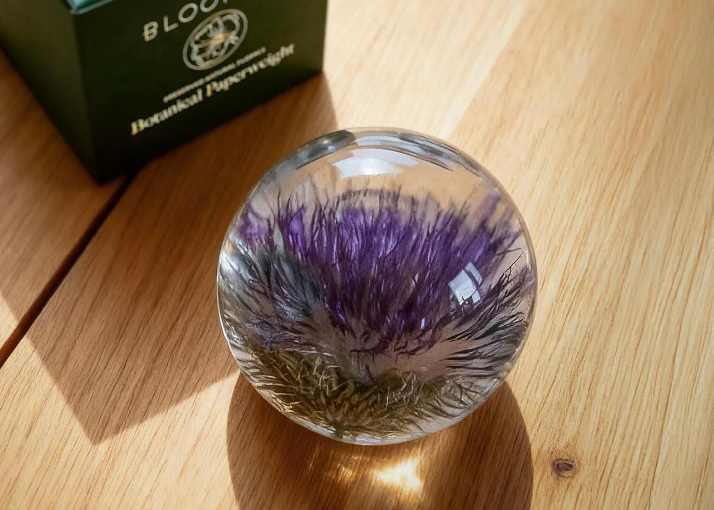
                  
                    Botanical Resin Paperweight
                  
                