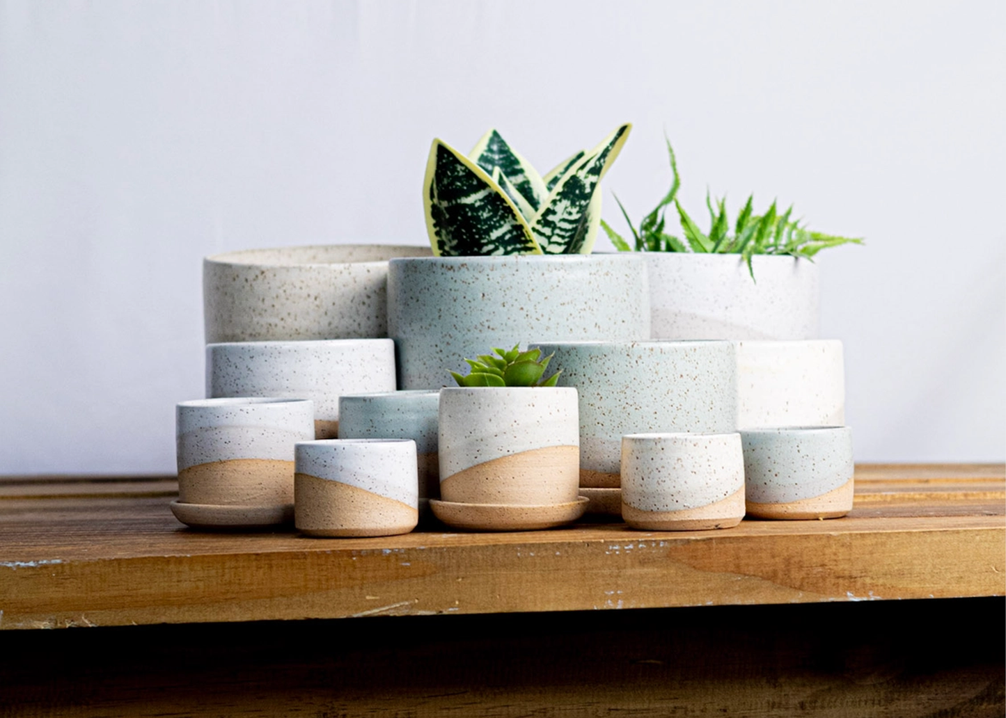 
                  
                    A collection of handmade ceramic planters in various sizes, featuring speckled light gray and white glazes with a natural beige clay base, displayed on a rustic wooden shelf with green plants.
                  
                