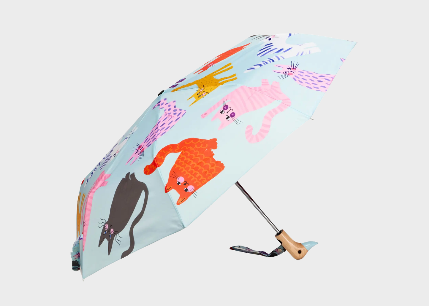 
                  
                    Duck Umbrella
                  
                