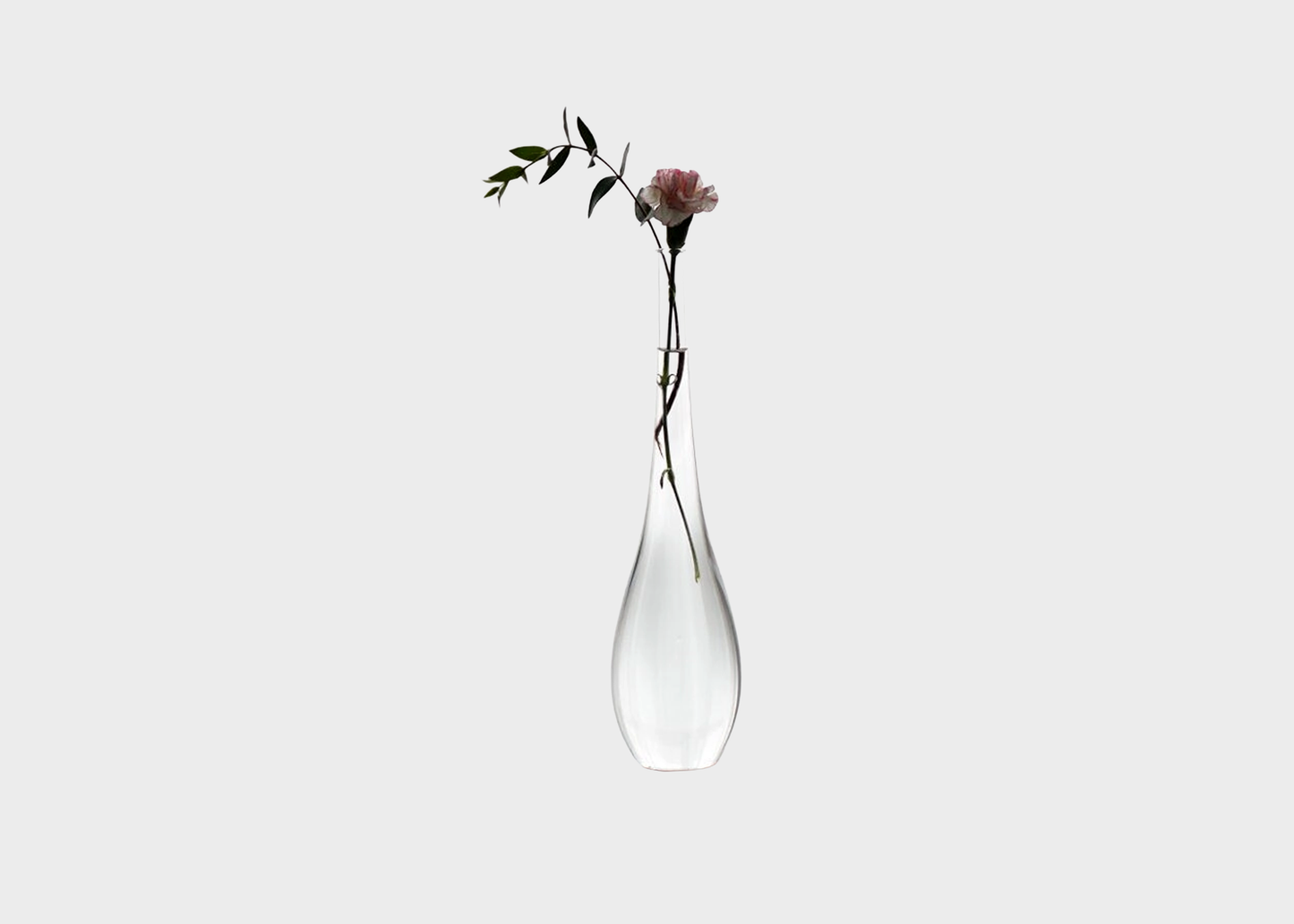 
                  
                    Tall Glass Vase
                  
                