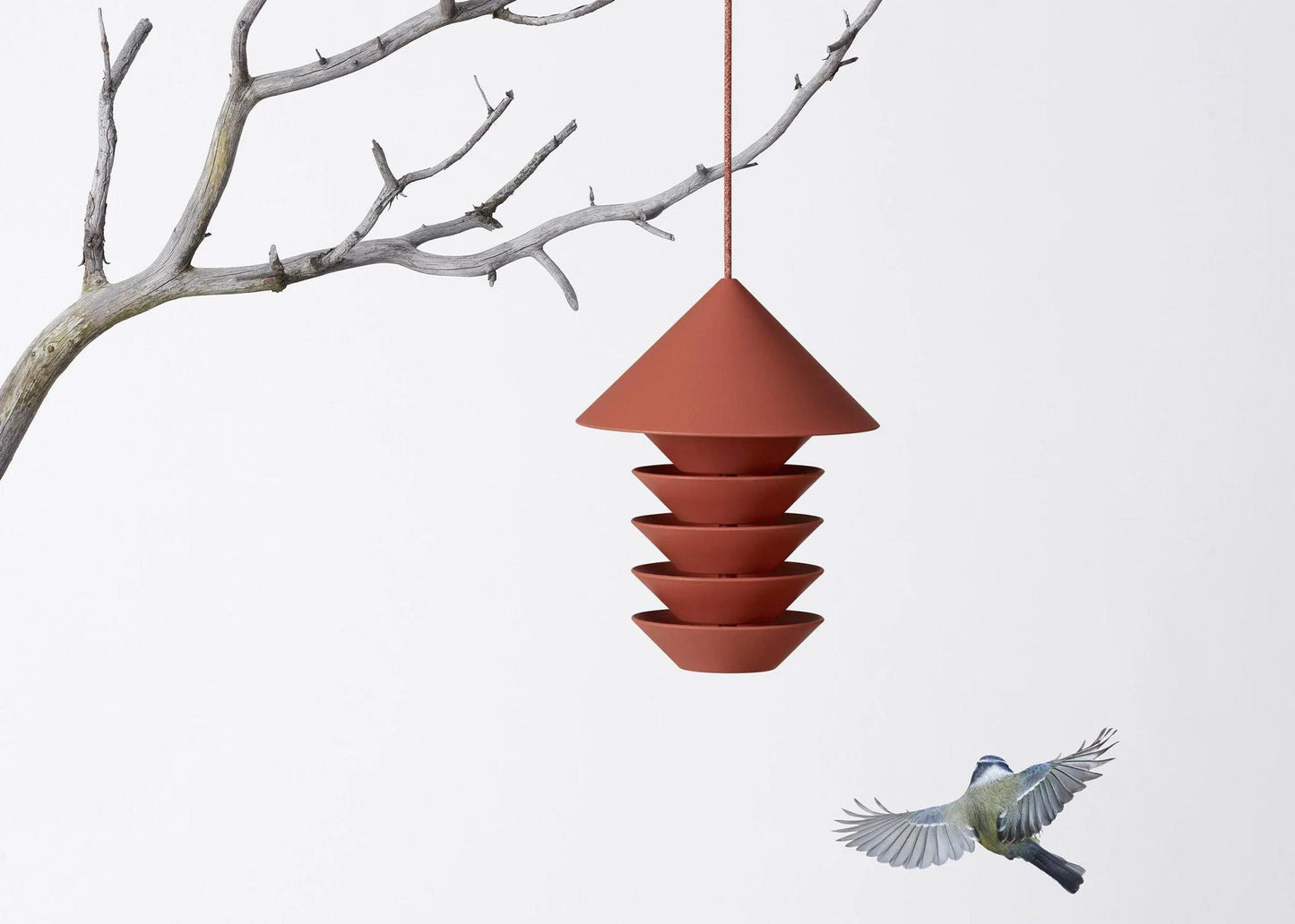 
                  
                    Bird Silo
                  
                