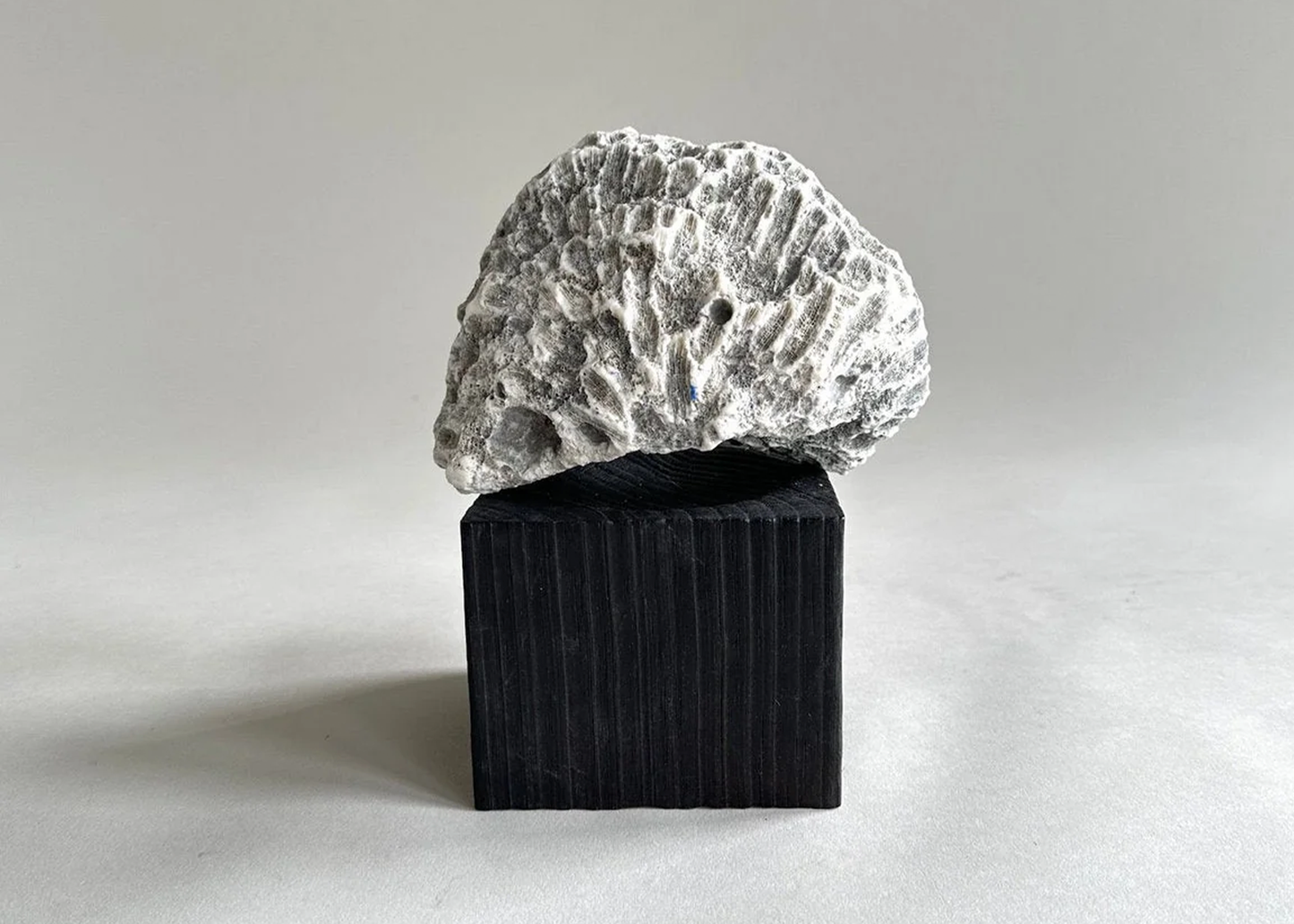 
                  
                    Jikoku Wood Base
                  
                