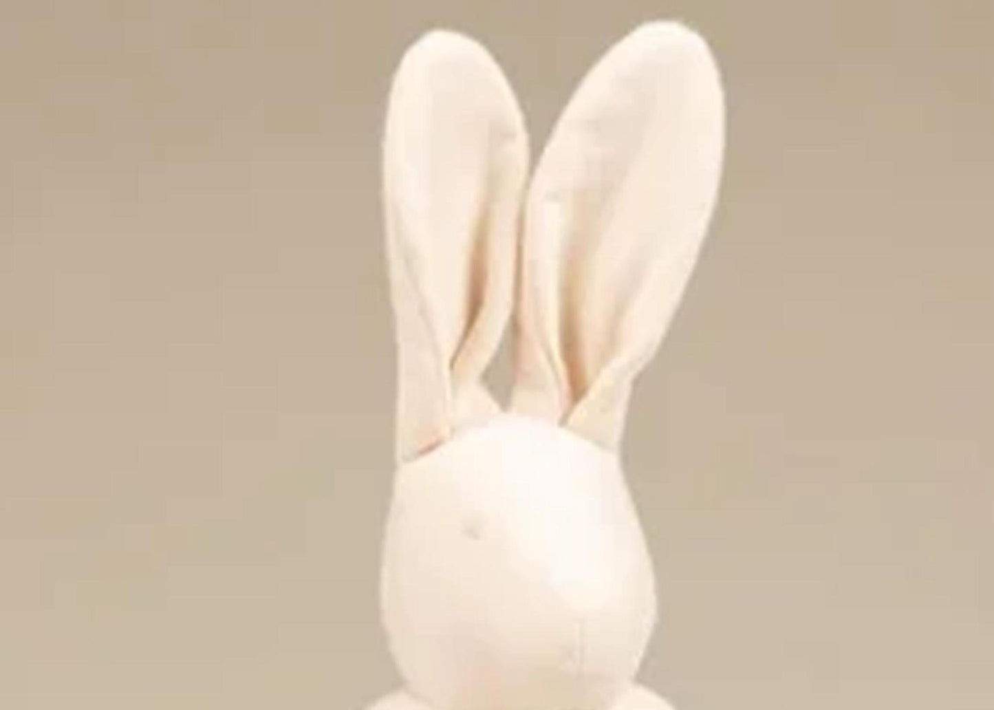 
                  
                    Josephine the Rabbit
                  
                