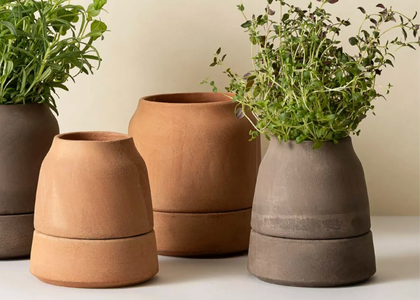 
                  
                    Viva Self-Watering Pot
                  
                