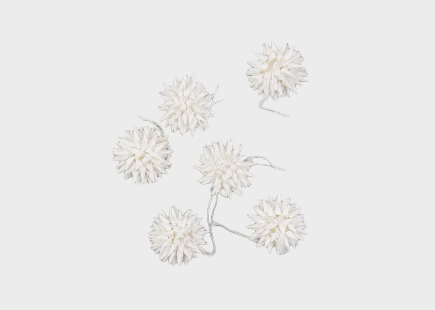 
                  
                    KOTTE MINI Ornaments
                  
                