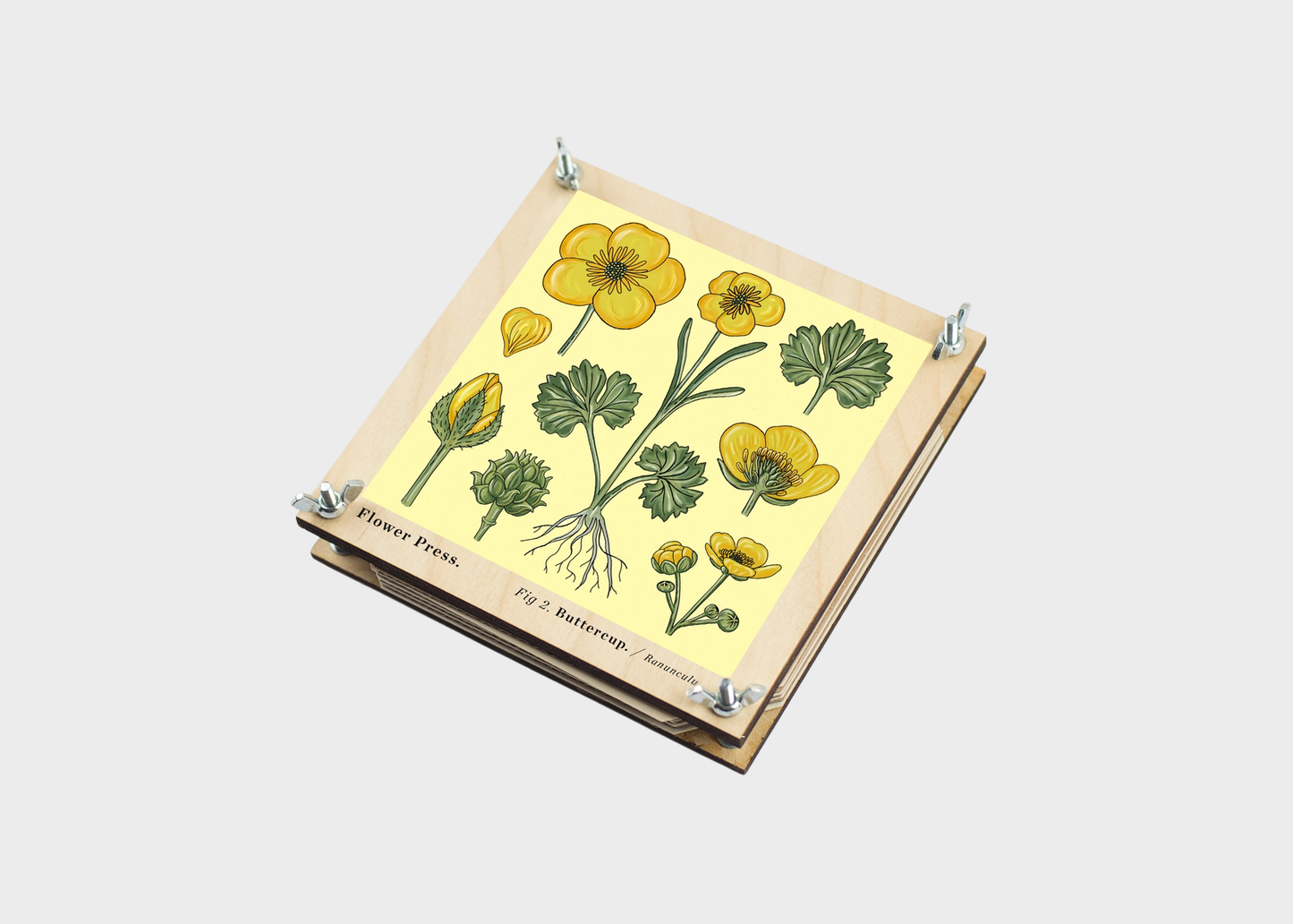 
                  
                    Flower Press
                  
                