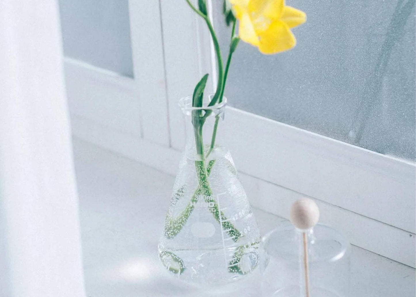 
                  
                    Flask Flower Vase
                  
                