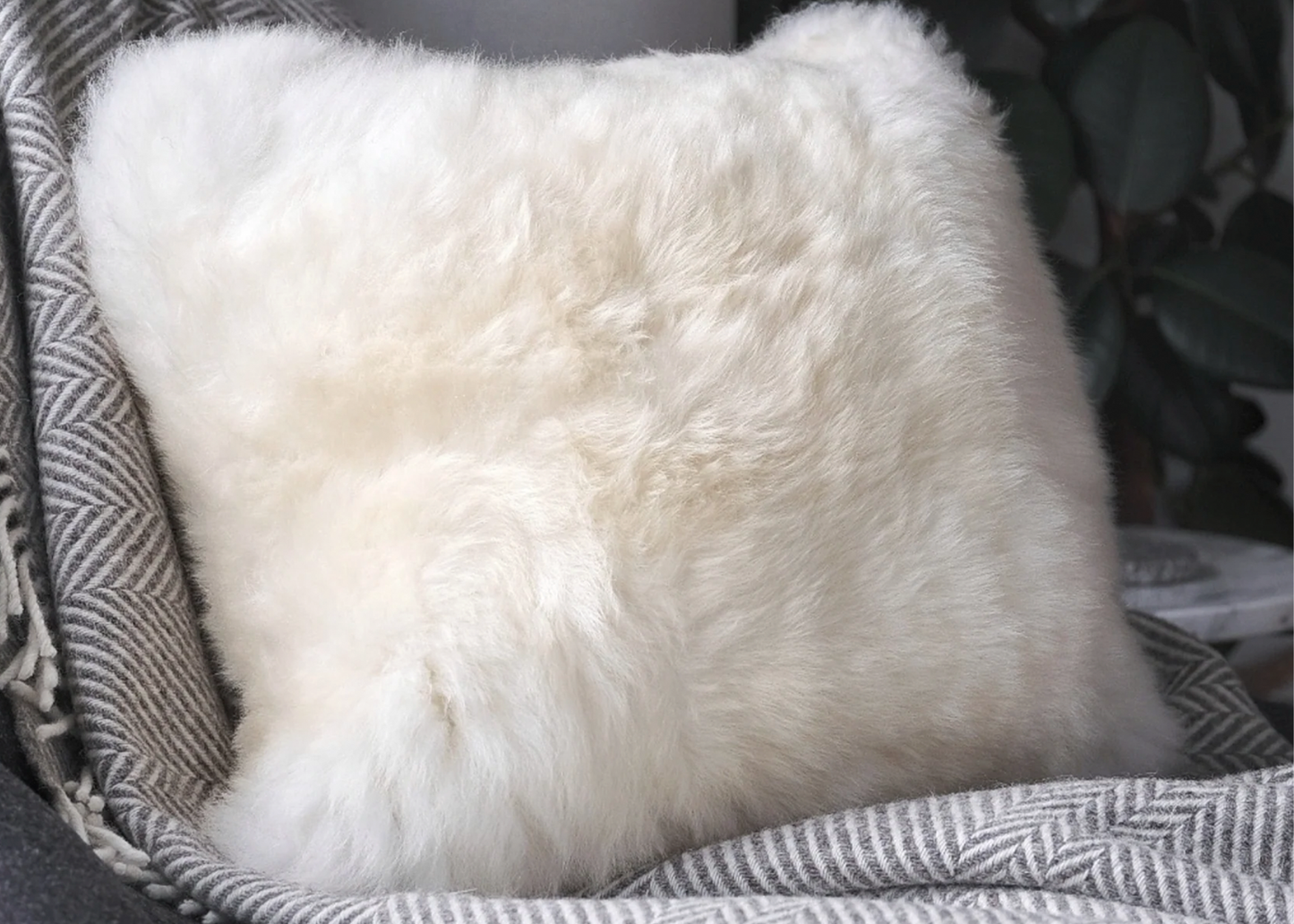 
                  
                    Ceart Pillow
                  
                
