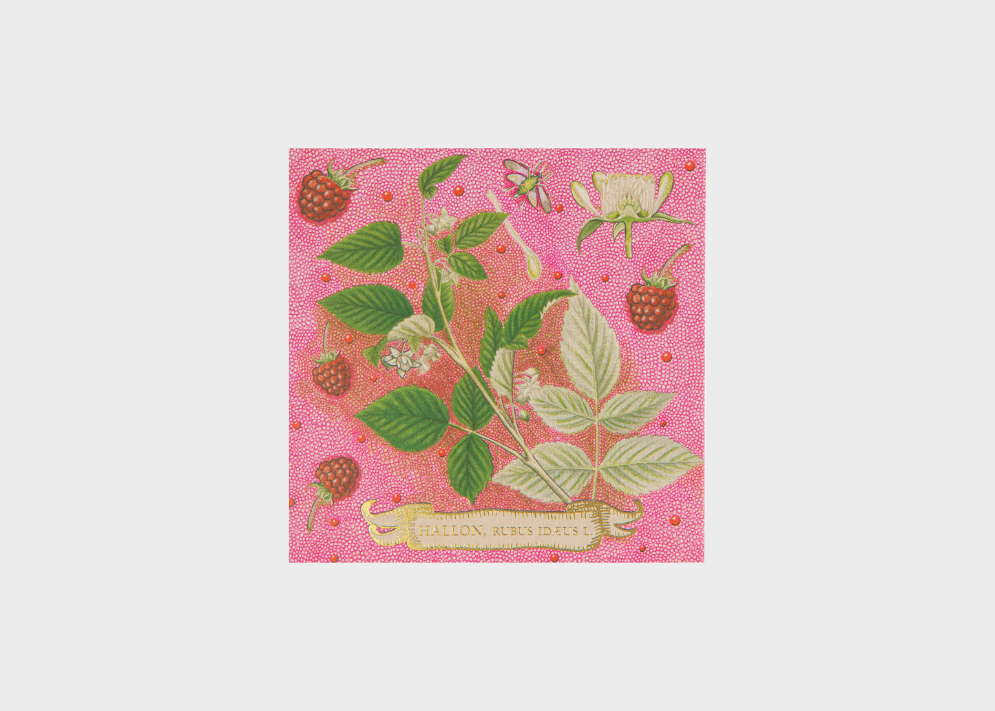 
                  
                    Archivist Matchbox
                  
                