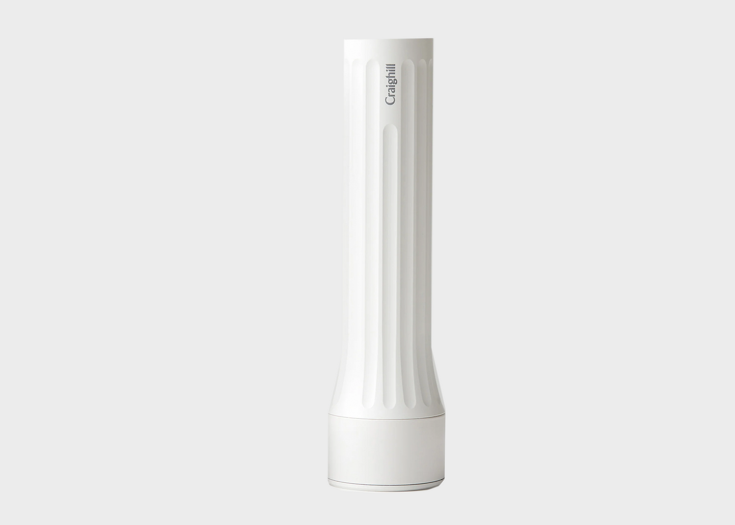 
                  
                    Temple Flashlight
                  
                