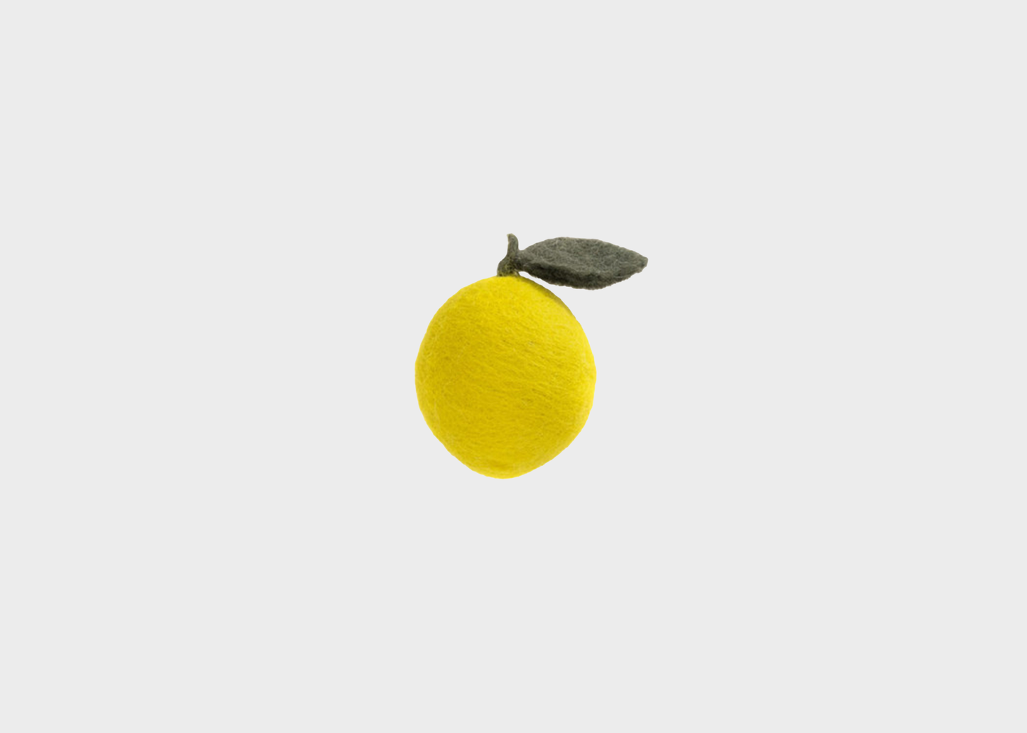 
                  
                    Wool Felt Fruit
                  
                