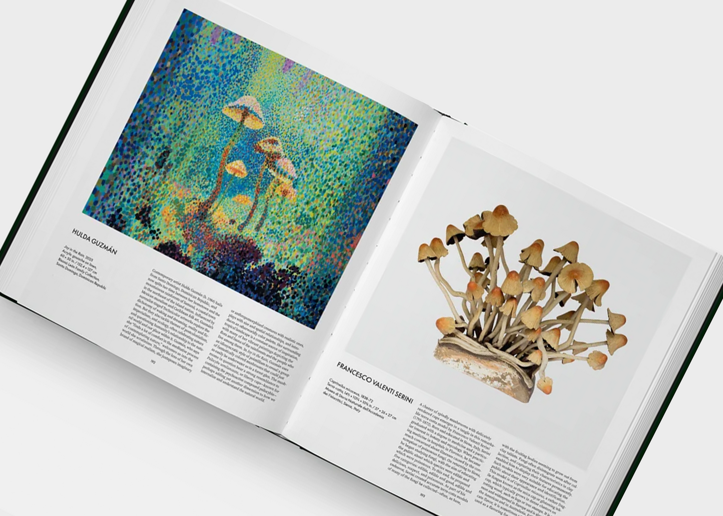 
                  
                    Fungi: The World of Mushrooms
                  
                