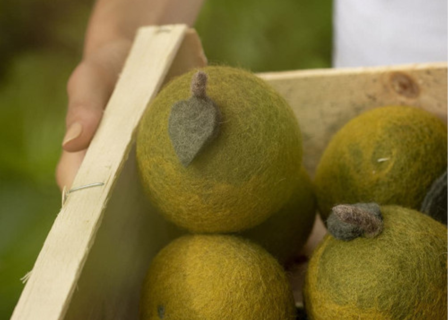 
                  
                    Wool Felt Fruit
                  
                