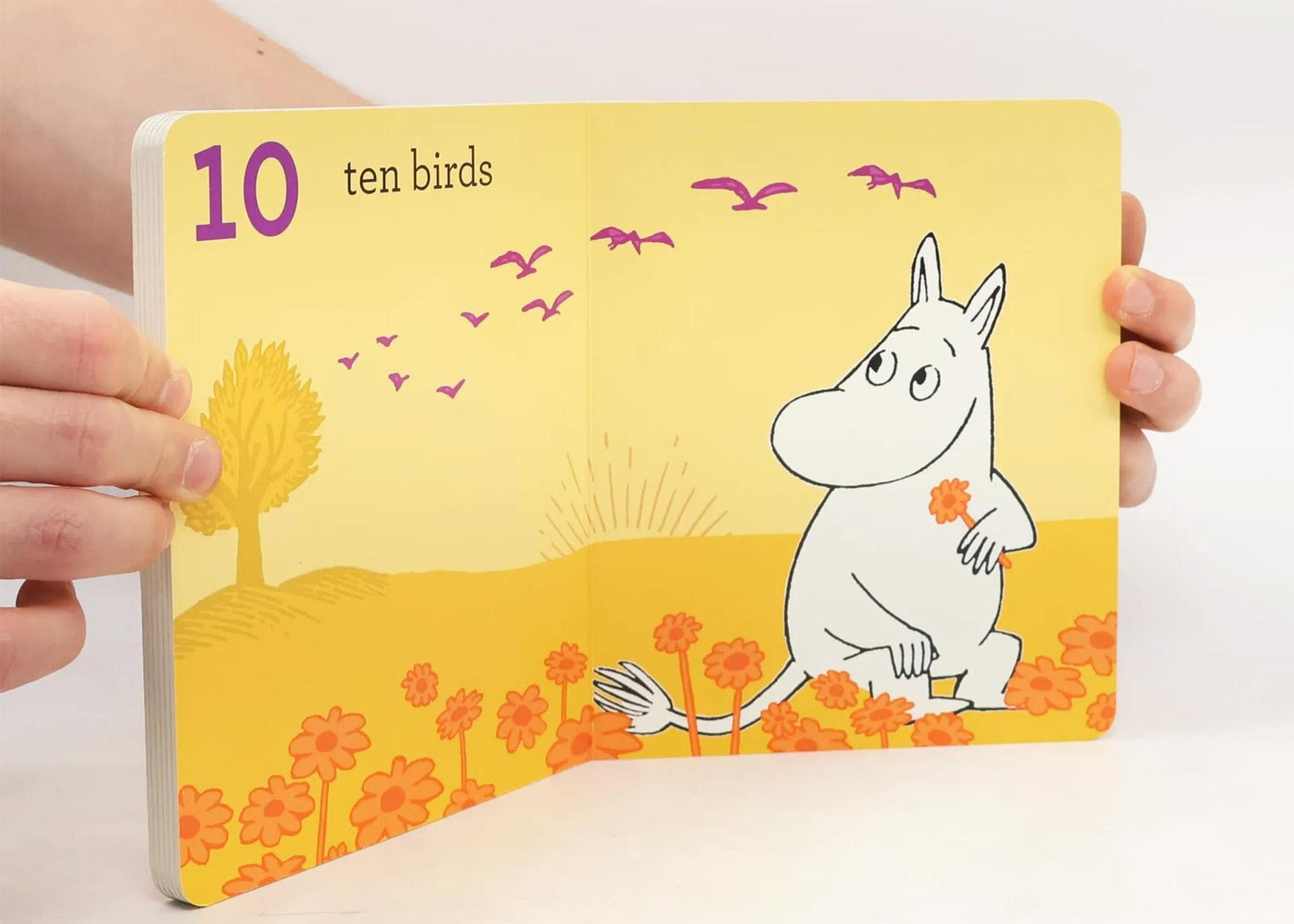 
                  
                    Moomin's Little Book of Numbers
                  
                