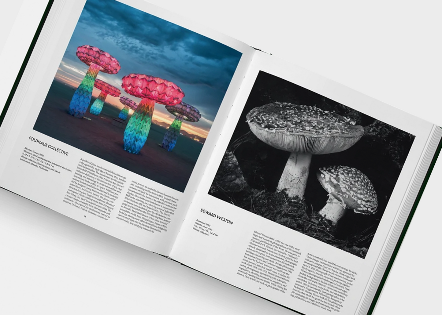 
                  
                    Fungi: The World of Mushrooms
                  
                