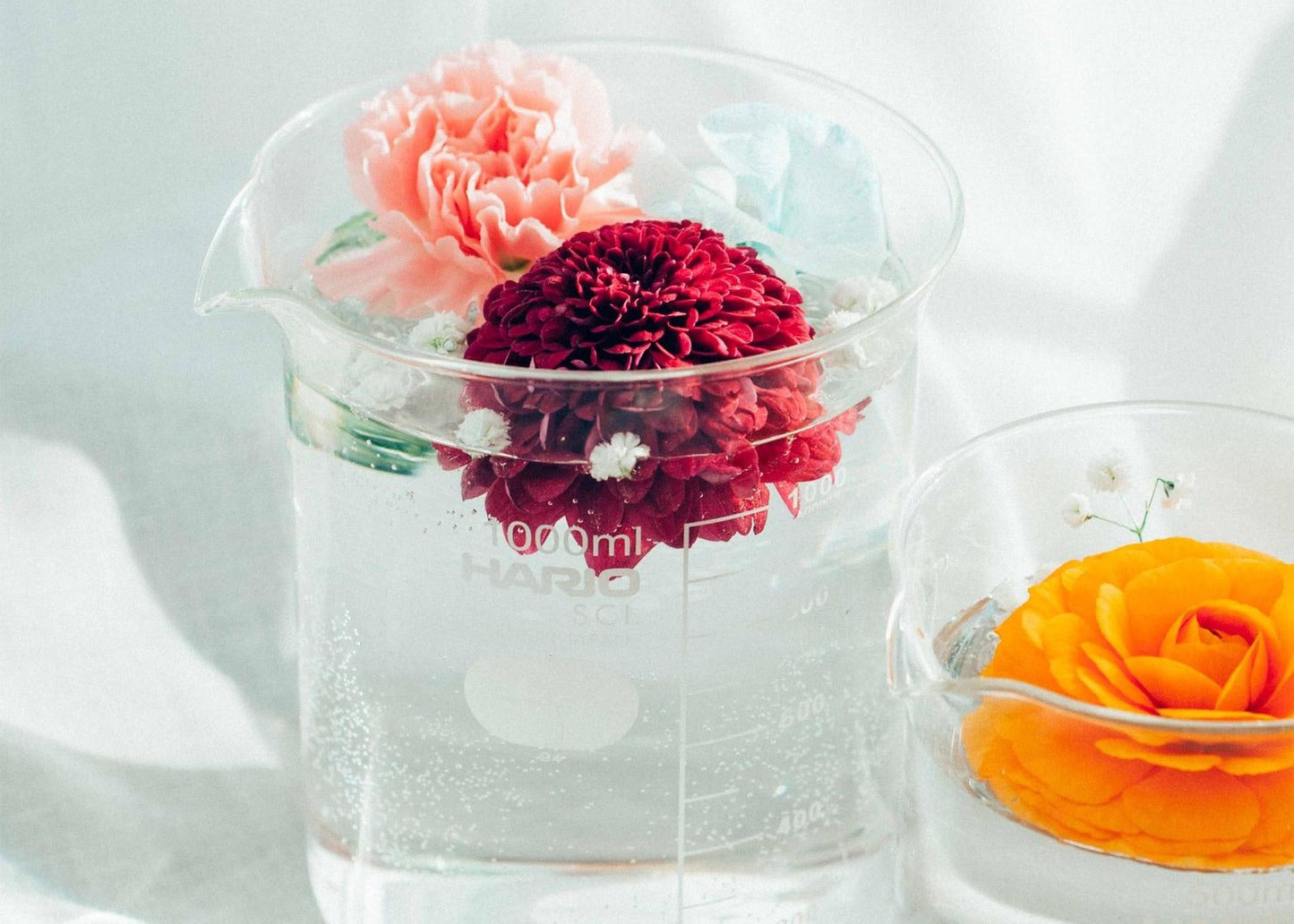 
                  
                    Beaker Flower Vase
                  
                