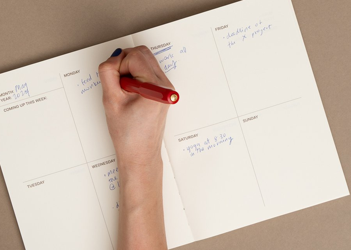 
                  
                    Everyday Planner
                  
                
