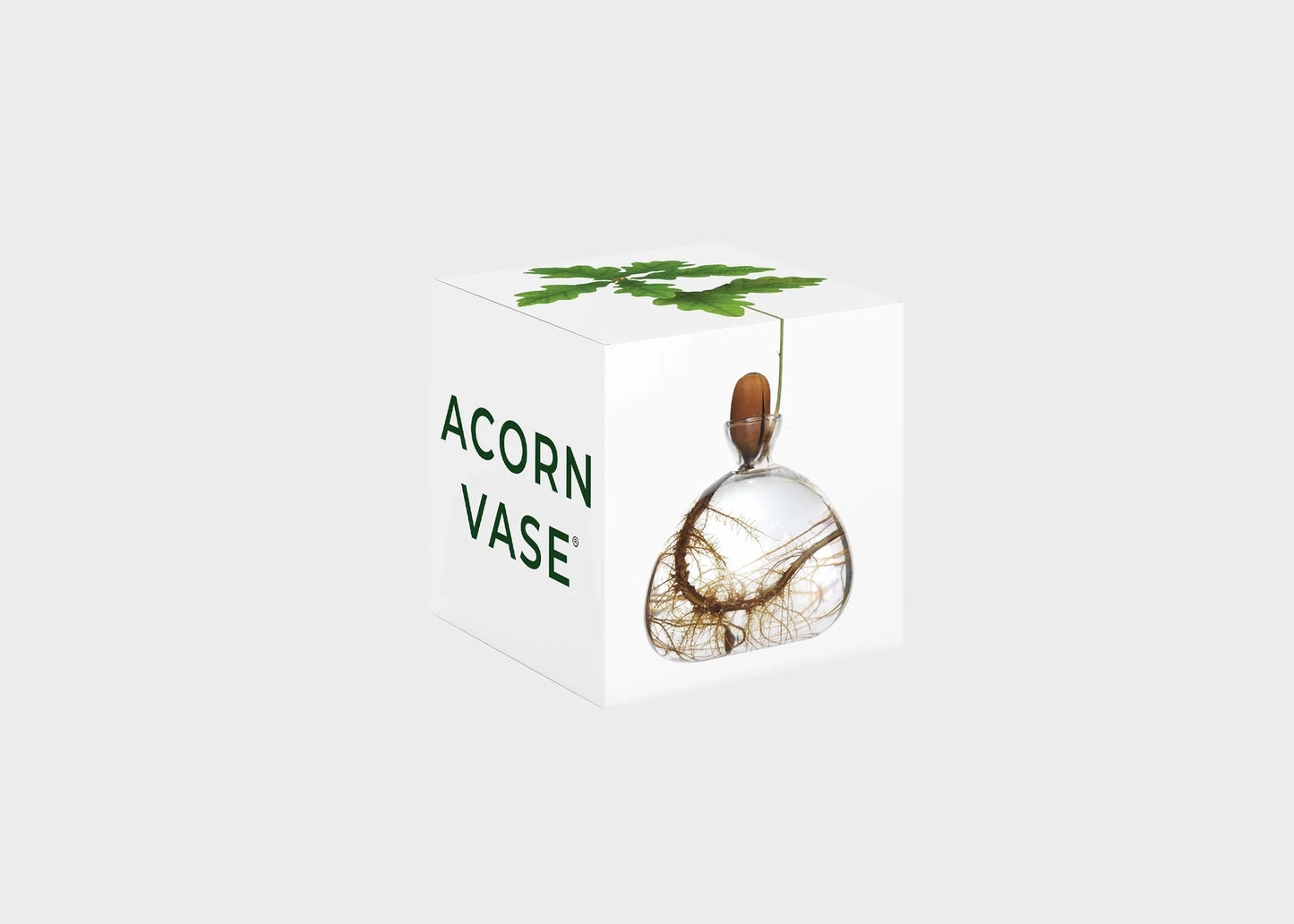 The box for the Acorn Vase