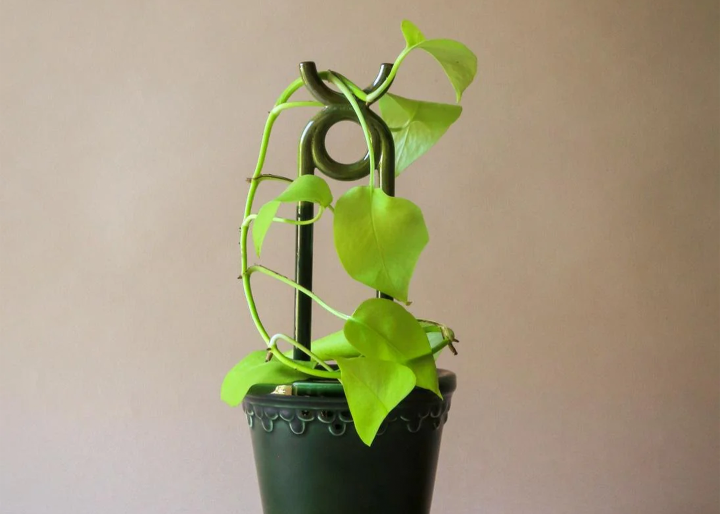 
                  
                    Folk: Oni Plant Stick - Pebble White
                  
                