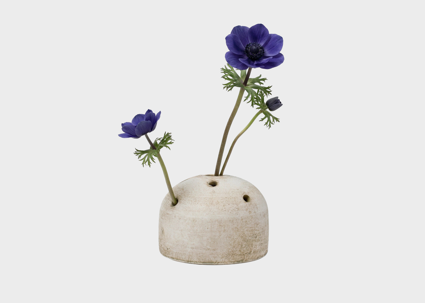 
                  
                    Terracotta Frog Vase
                  
                