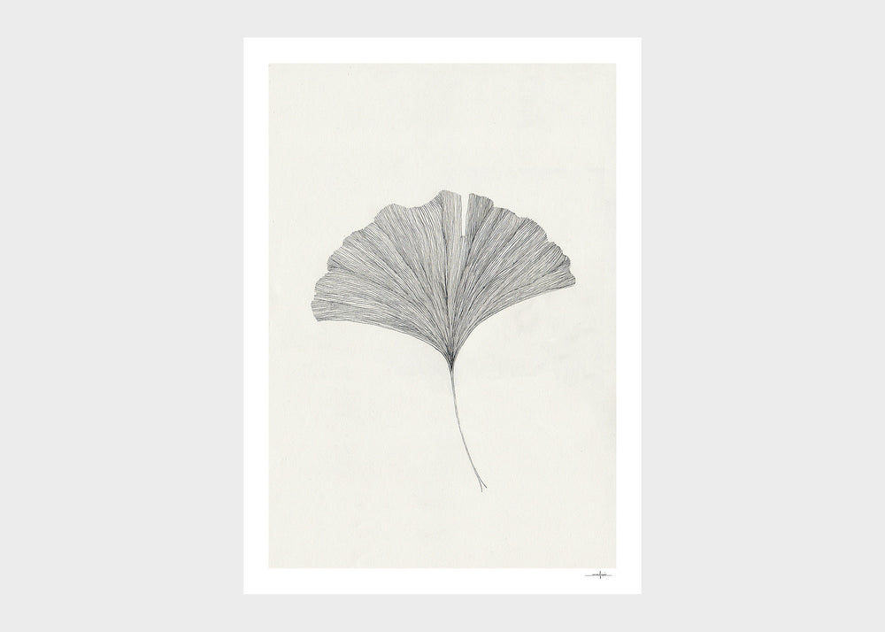 Ginkgo Leaf Print