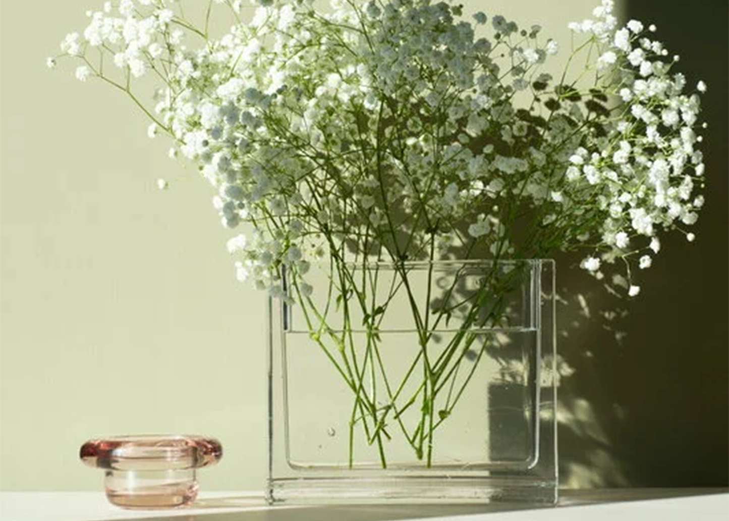 Clear vase with white flowers on a light green background