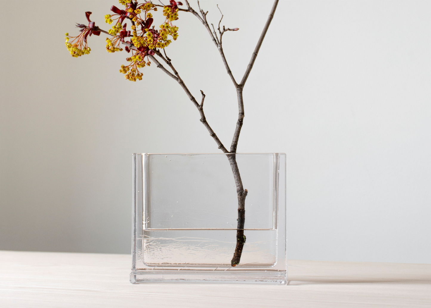 Clear glass vase with a branch and yellow flowers on a light background