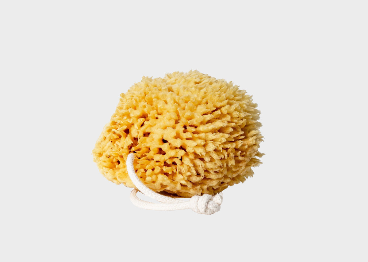 Natural Bath Sponge – Woodland Mod