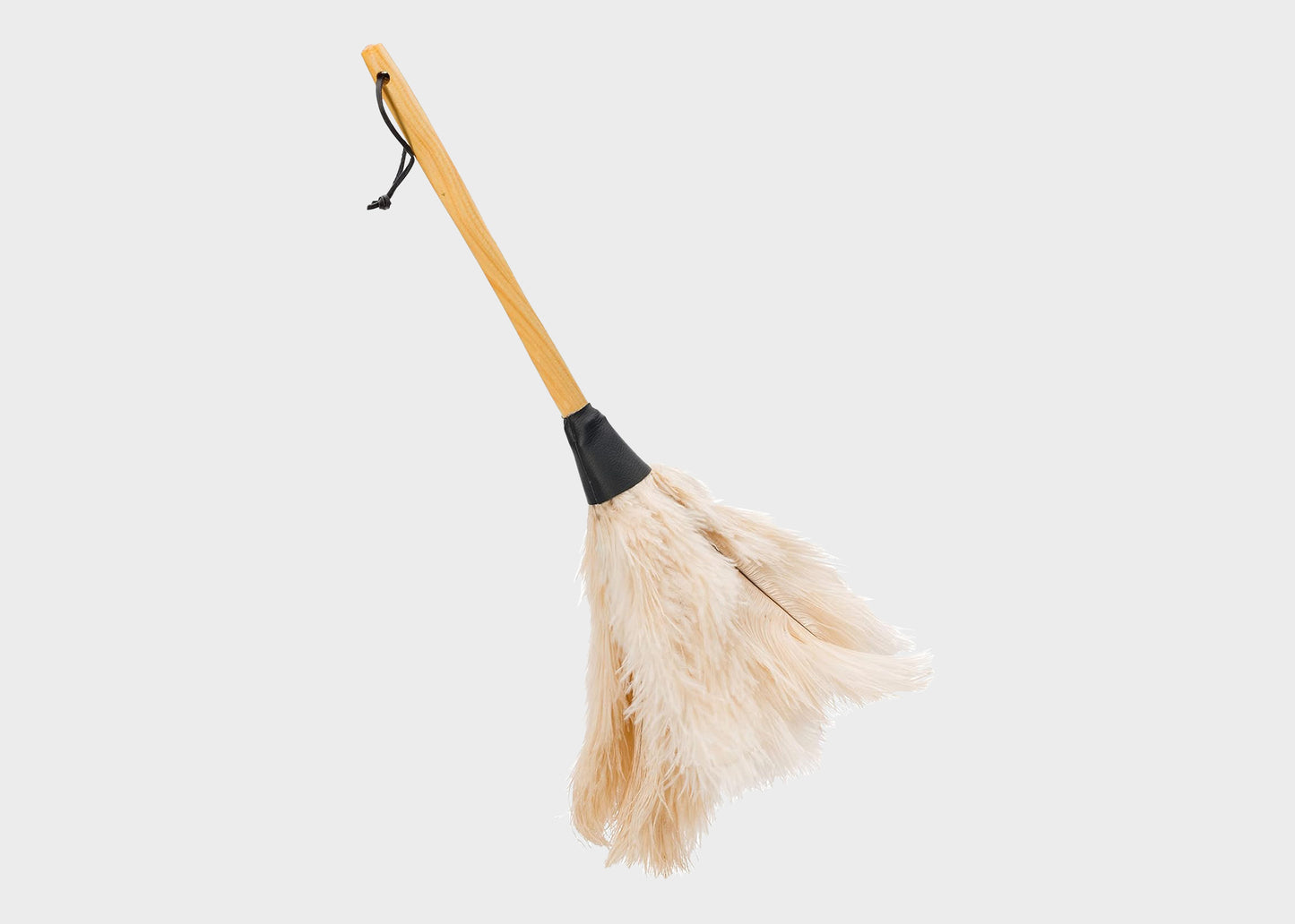 
                  
                    Feather Duster
                  
                