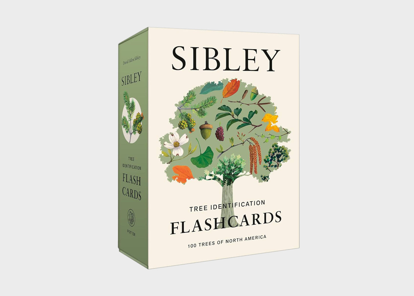 Sibley Tree Identification Flash Cards