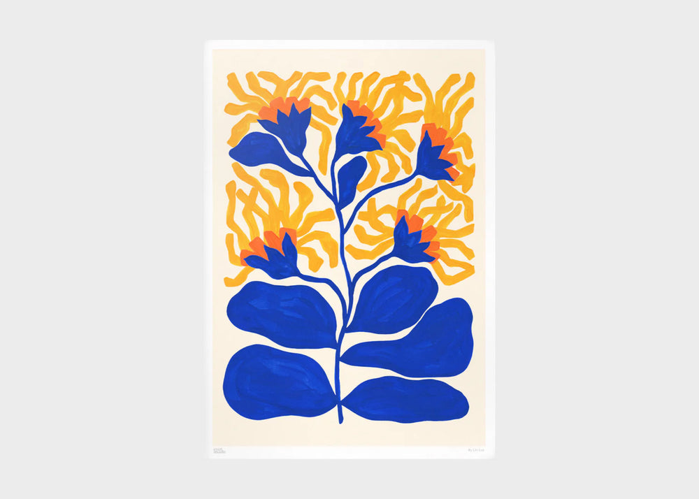 Print No. 477