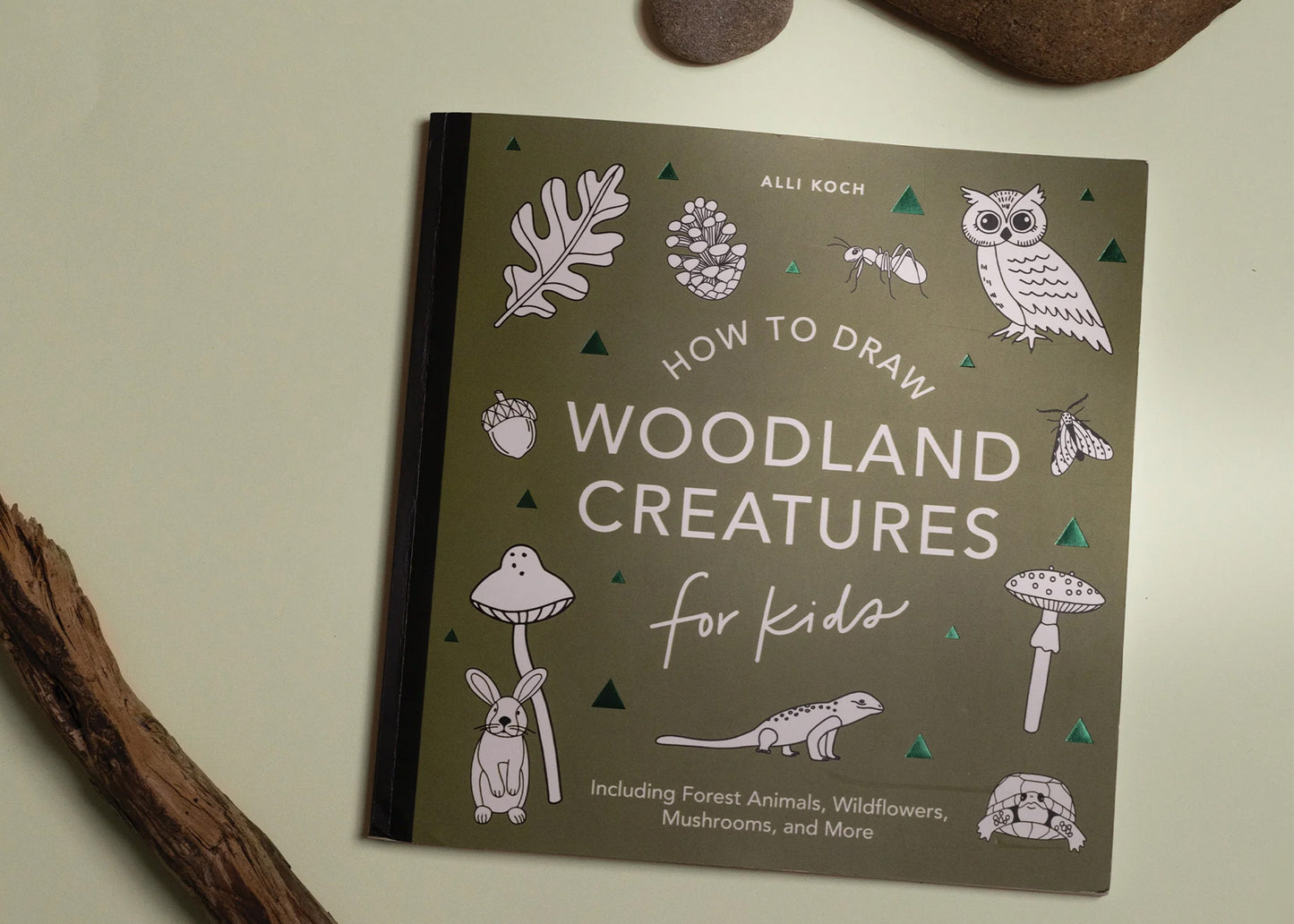 
                  
                    How to Draw for Kids: Mushrooms & Woodland Creatures
                  
                