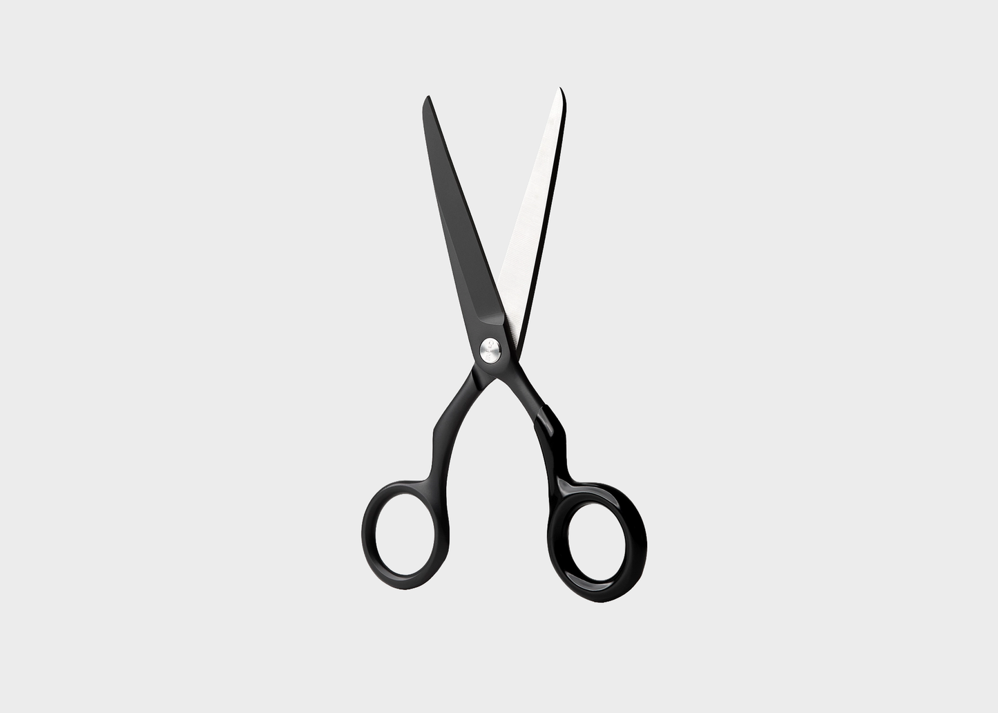 
                  
                    Spectra Scissors
                  
                