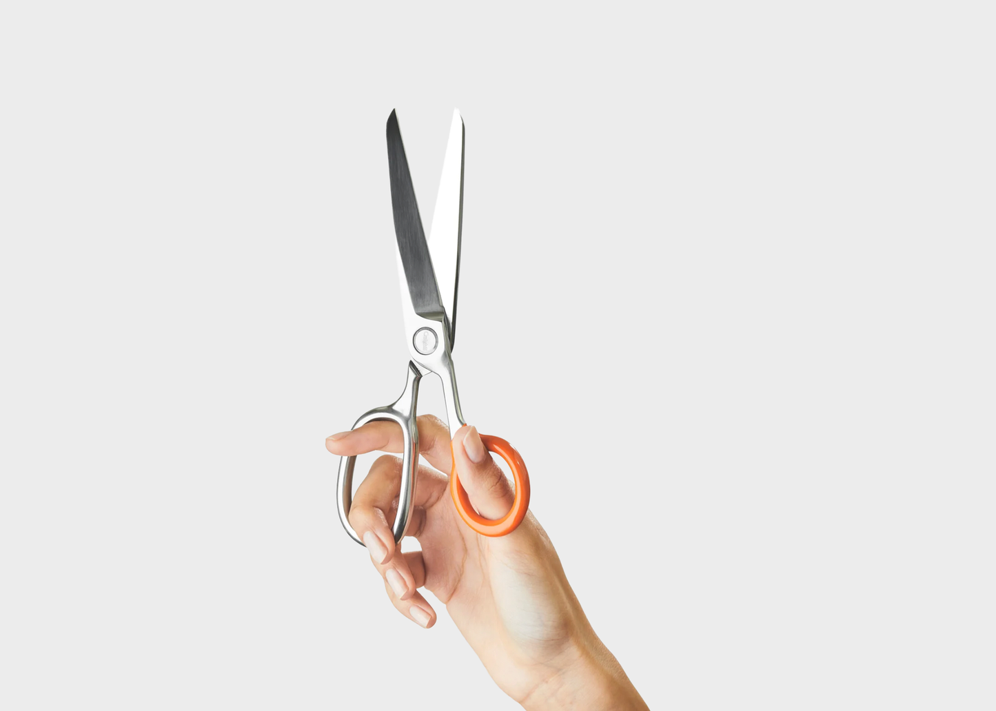 
                  
                    Chroma Scissors
                  
                