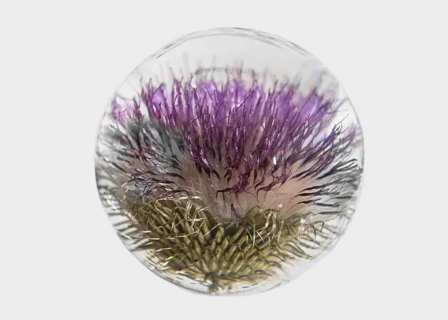 
                  
                    Botanical Resin Paperweight
                  
                