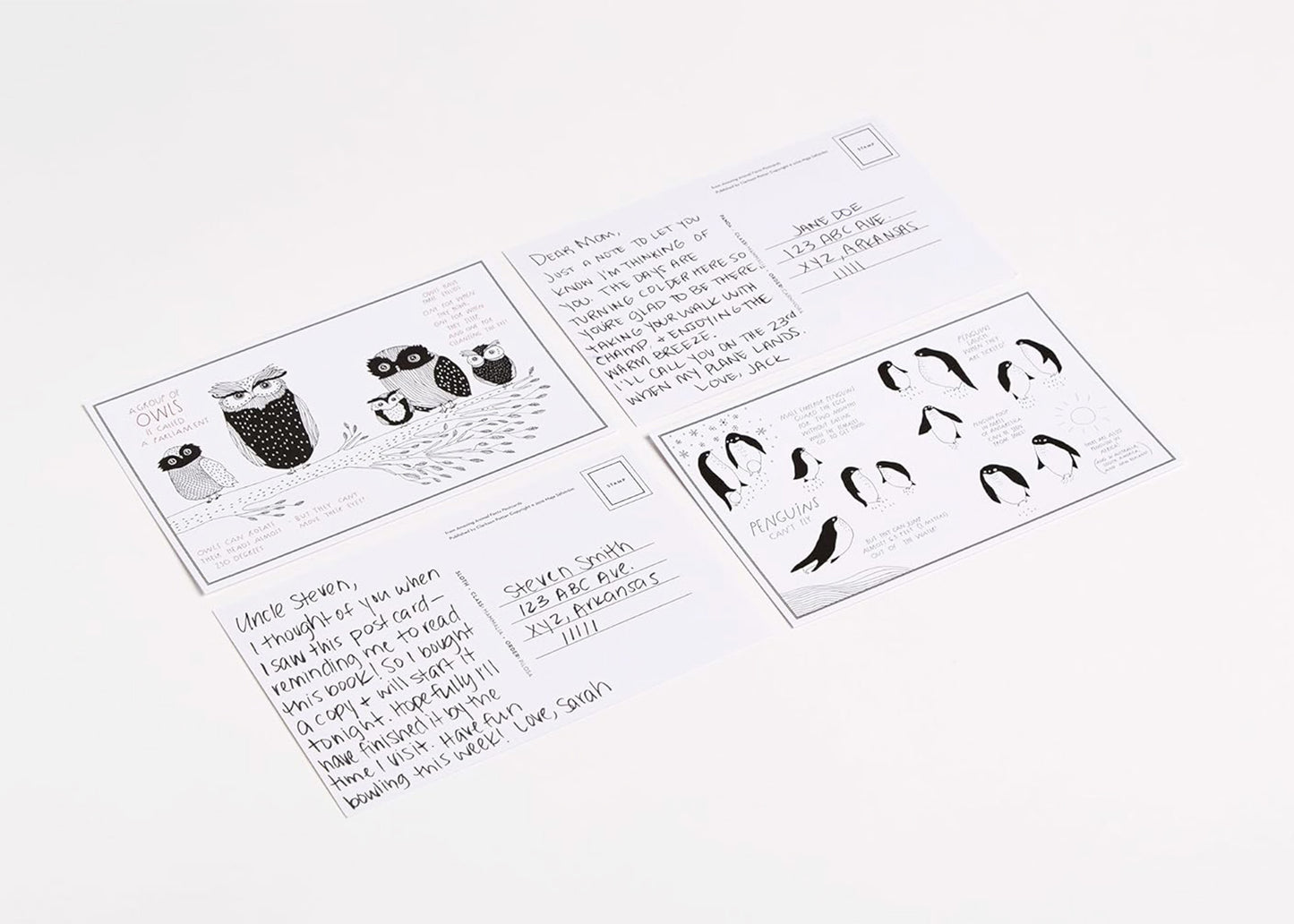 
                  
                    Amazing Animal Facts Postcards
                  
                